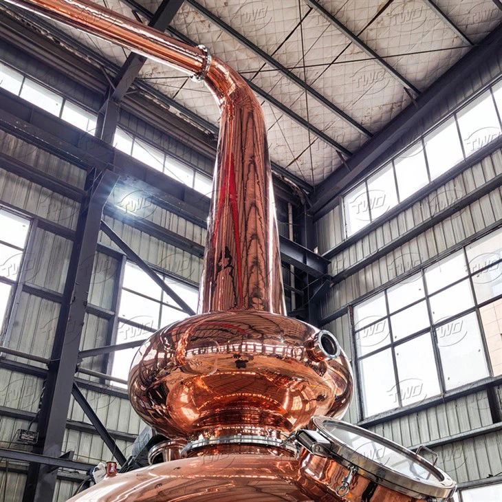 IMG_20250219_095150-1_